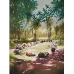Le Jardin aux Moines (Oracle Brocéliande)